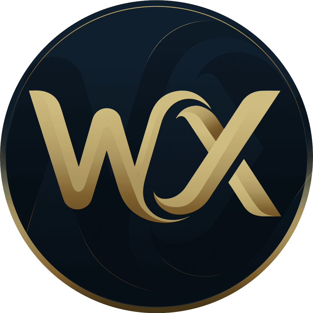 WickyX visual identity